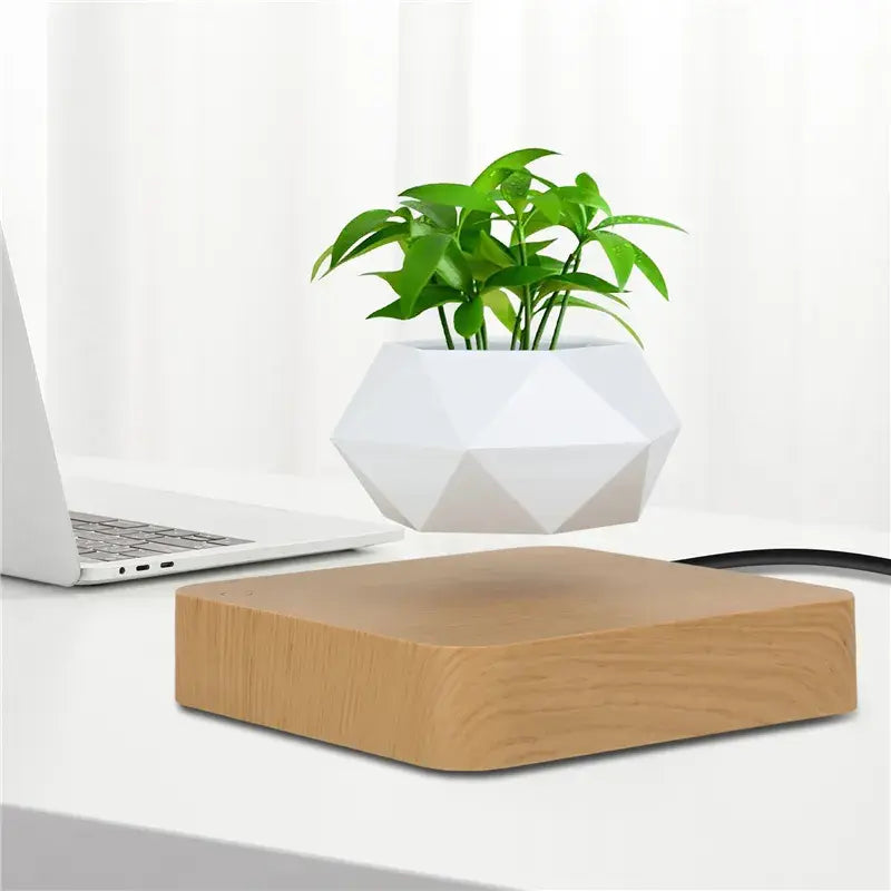 Levitating Potted Plant Home Desk Decor