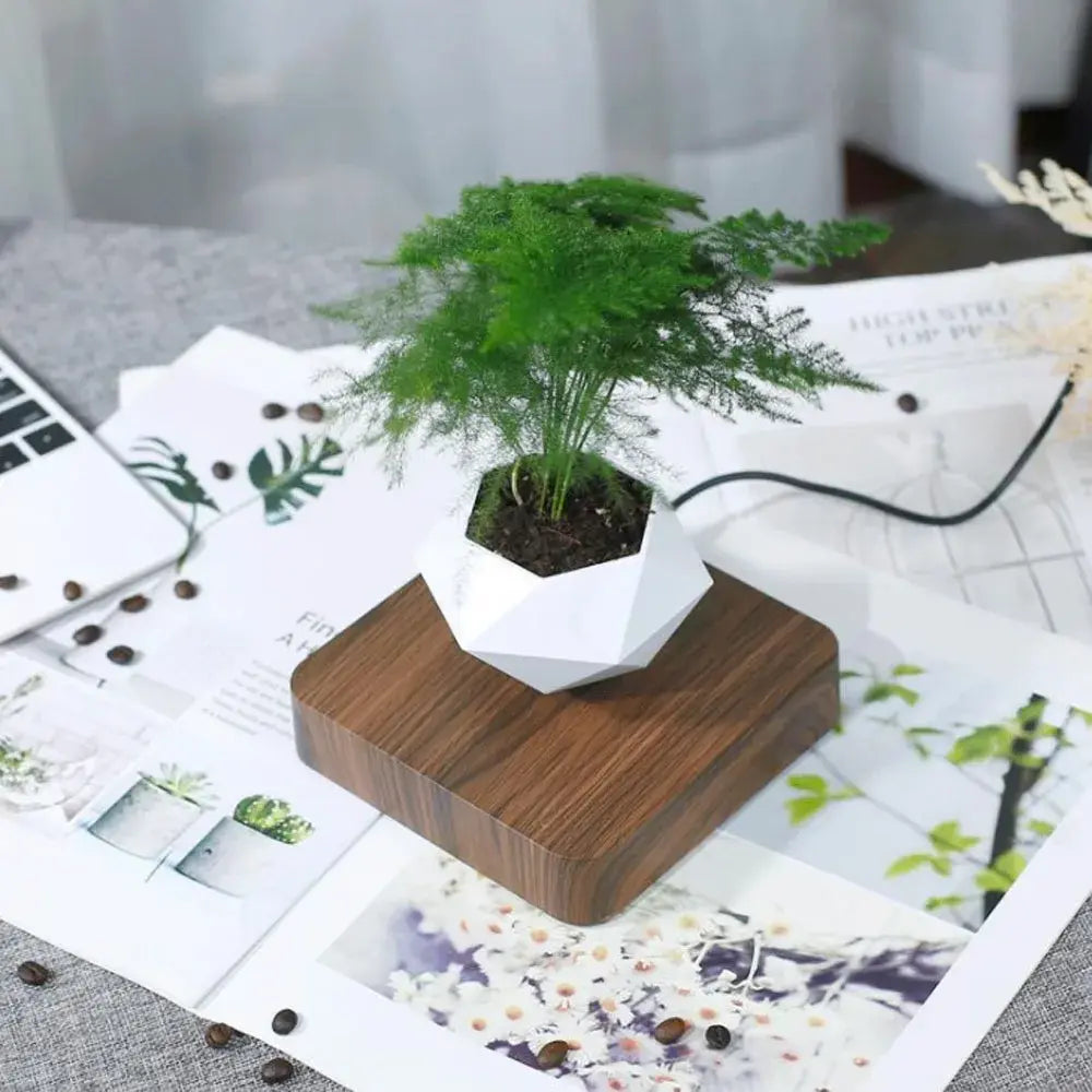 Rotating / Levitating Air Bonsai Flower Pot