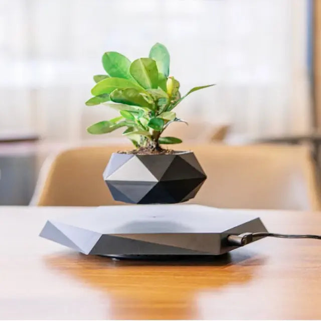 Rotating / Levitating Air Bonsai Flower Pot