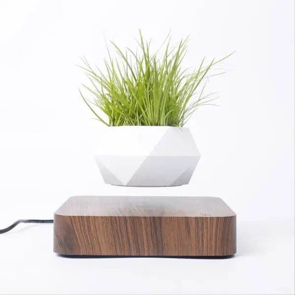 Levitating Potted Plant Home Desk Decor